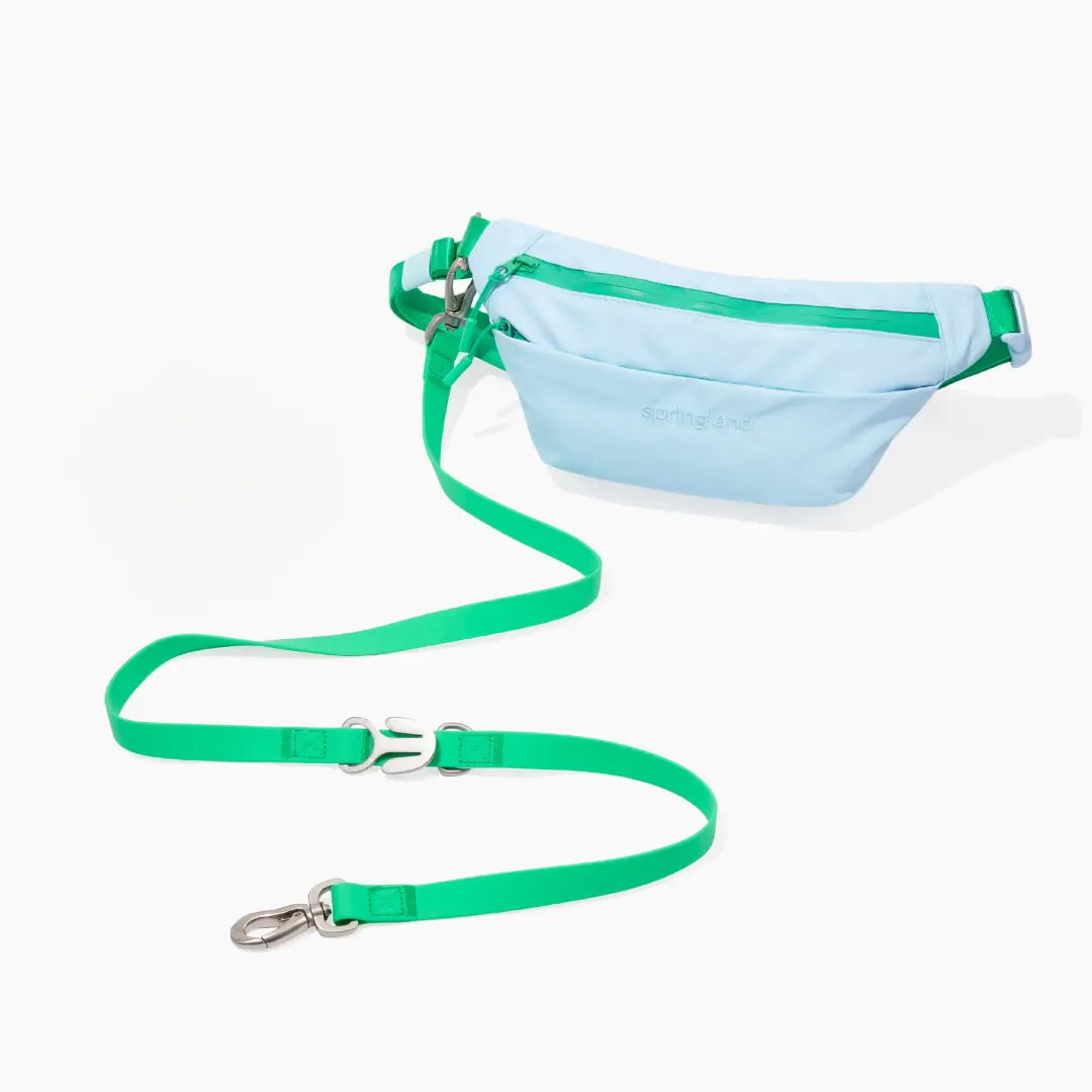 Hands-Free Dog Walking Bag with 4ft Leash Springland Pets
