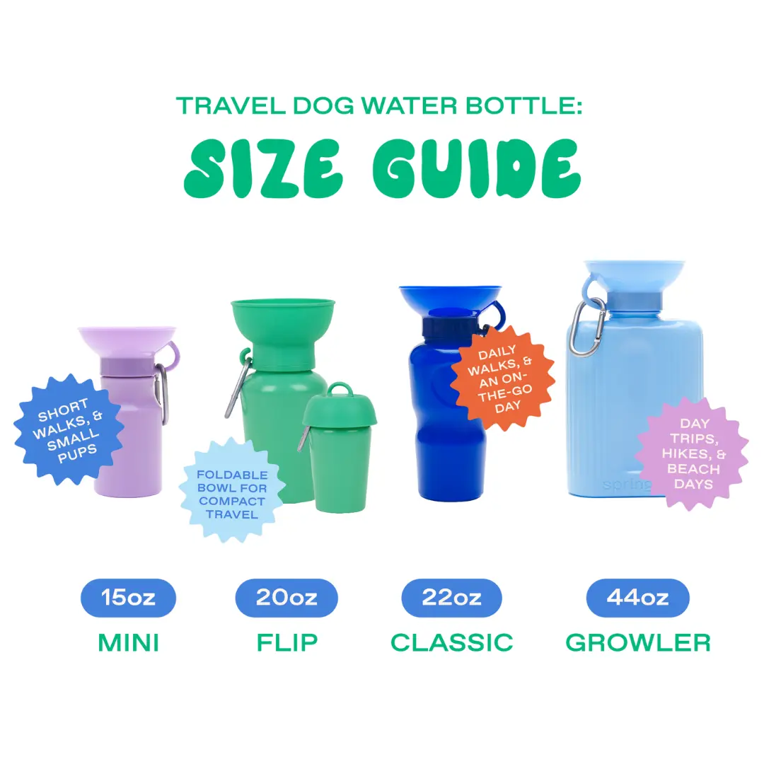 44oz Original Dog Travel Water Bottle Springland Pets