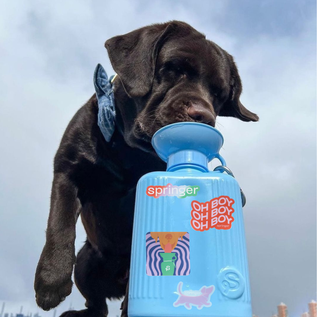 Sticker Pack Springland Pets