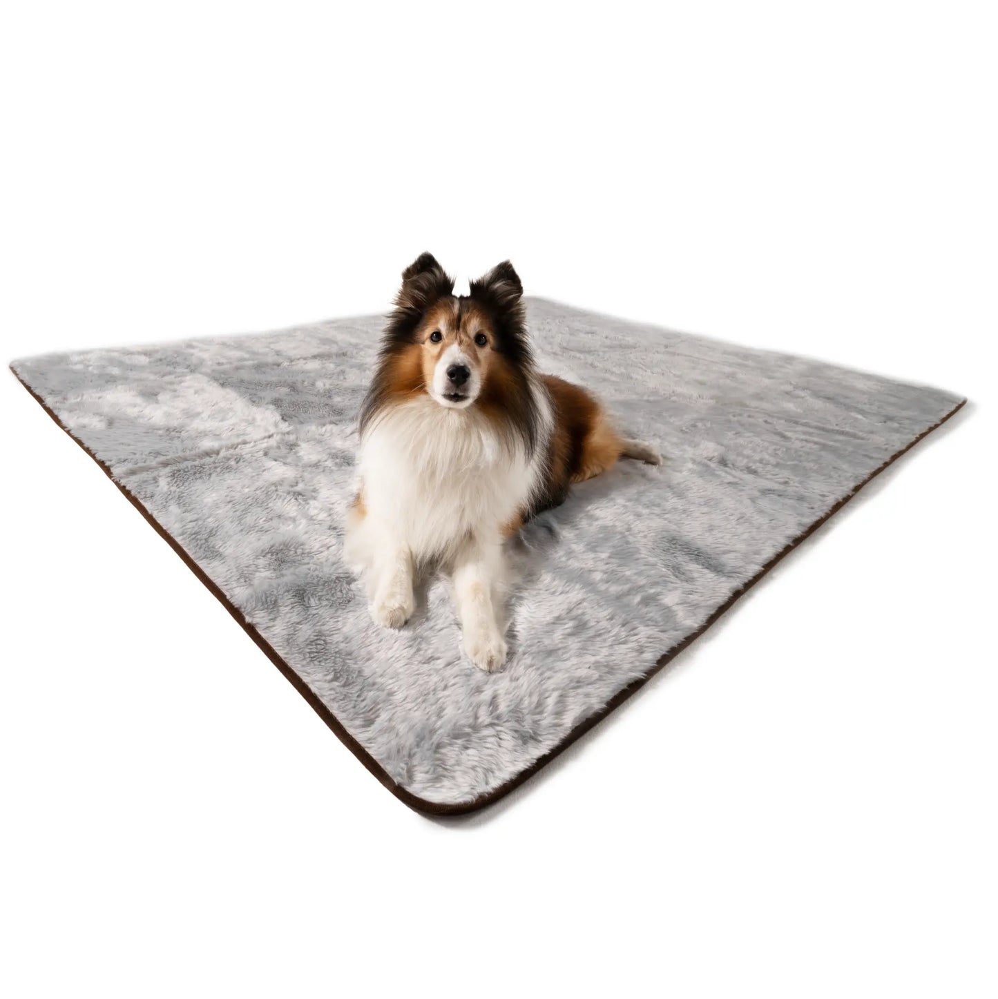 PupProtector™ Summer Short Fur Waterproof Throw Blanket - Grey Paw.com