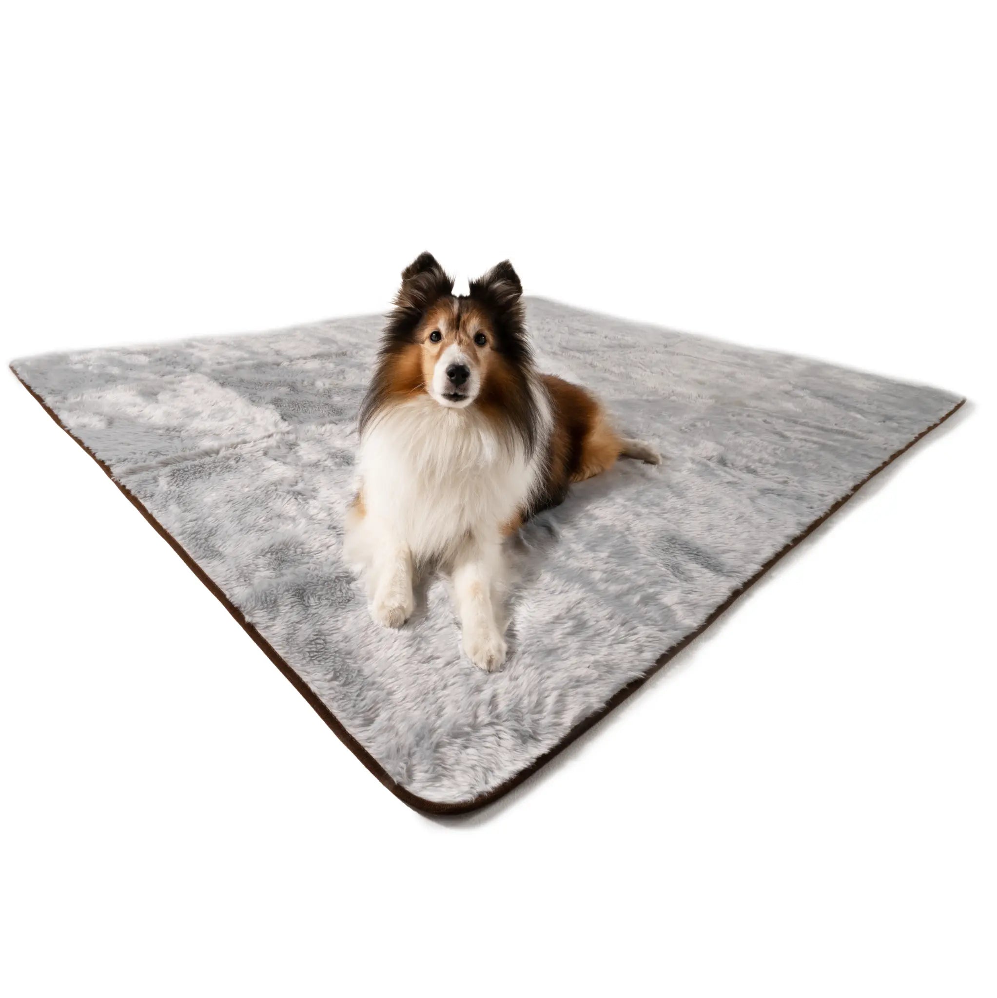 PupProtector™ Summer Short Fur Waterproof Throw Blanket - Grey Paw.com