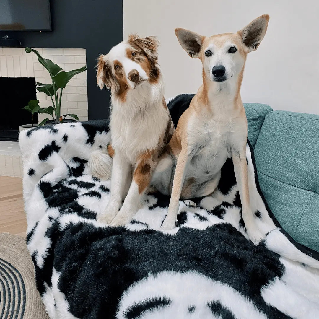 PupProtector™ Waterproof Throw Blanket - Black Faux Cowhide Paw.com