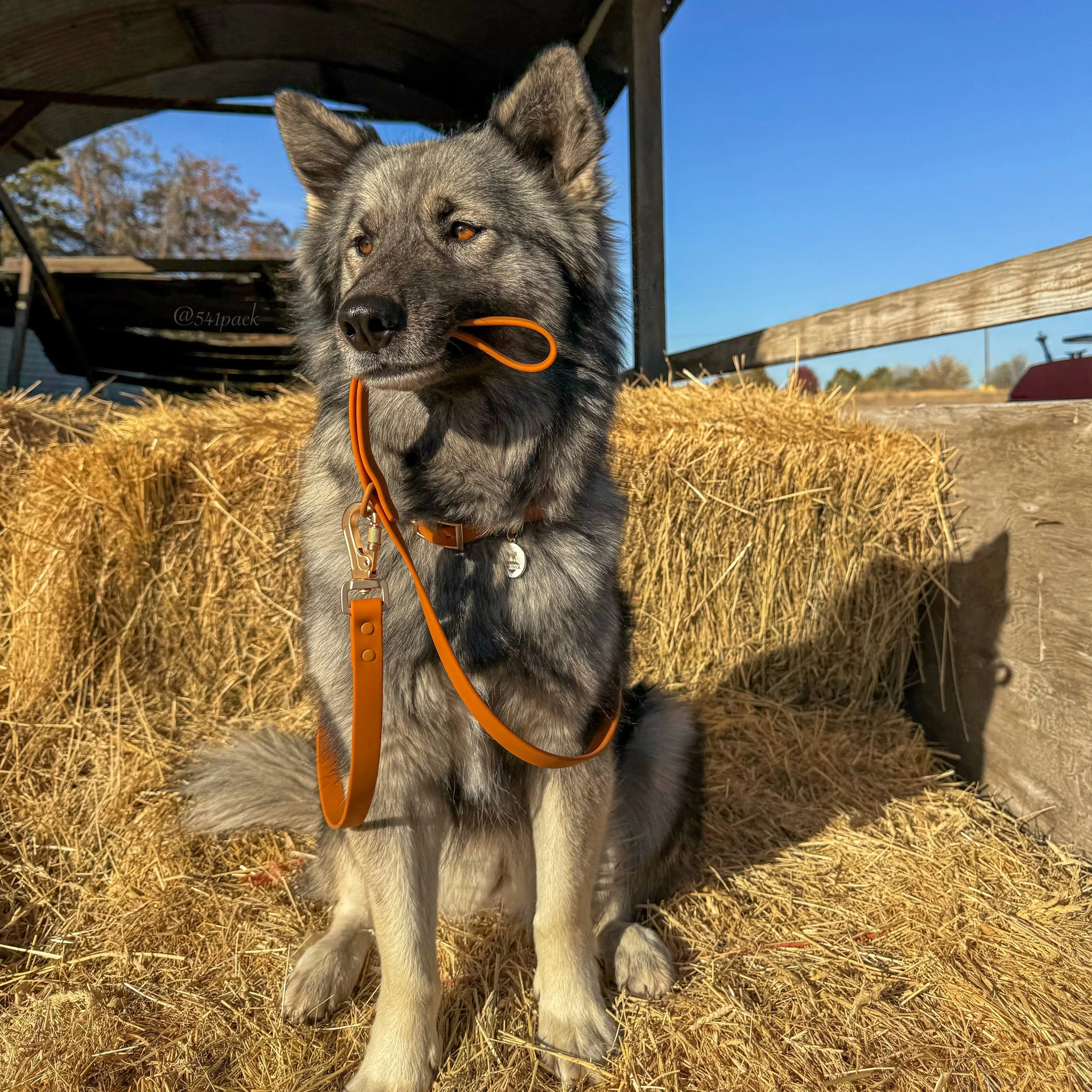 Waterproof Leash WOLFDOGE
