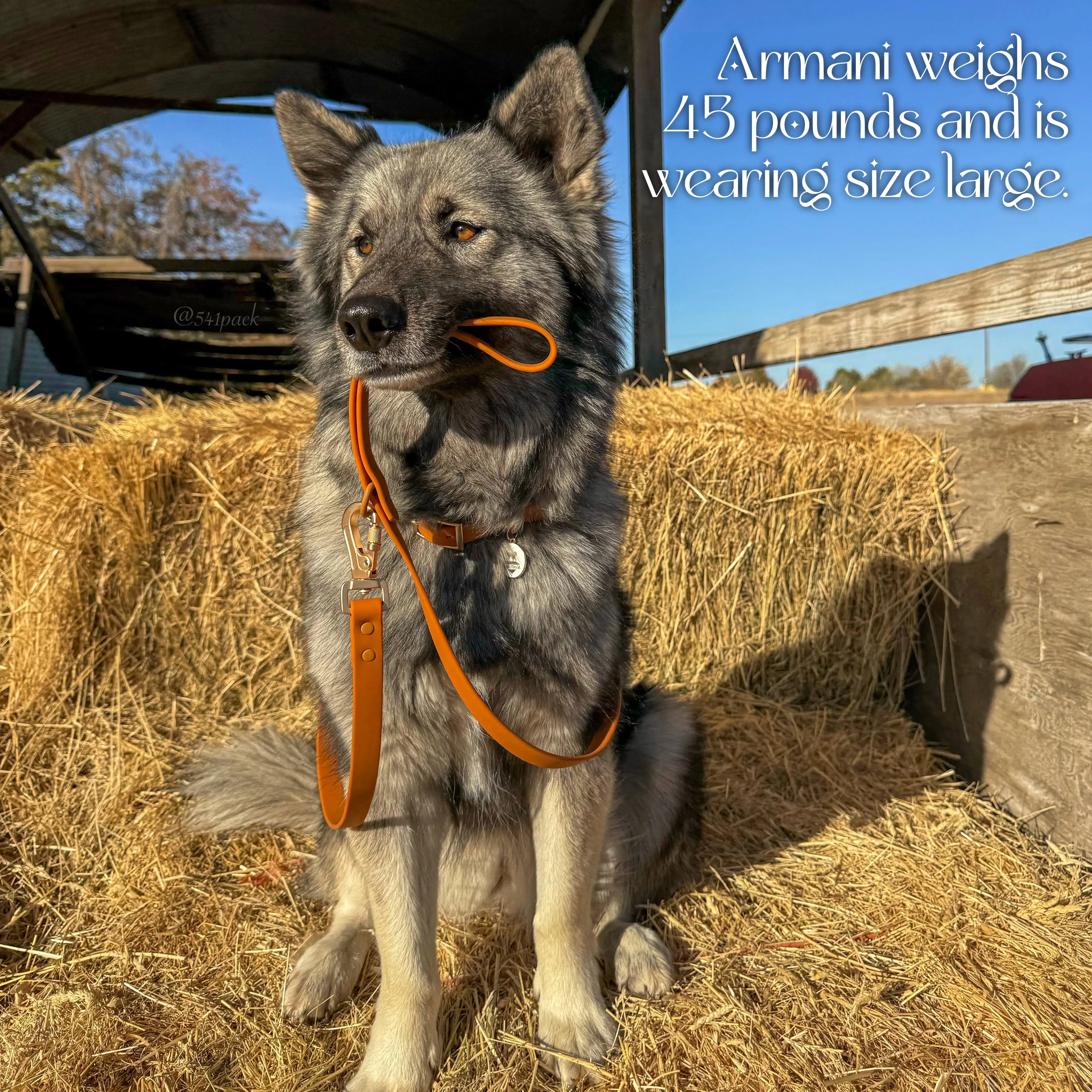 Waterproof Collar