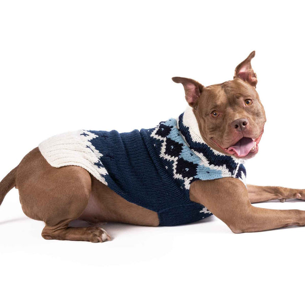 Midnight Ski Bum Dog Sweater