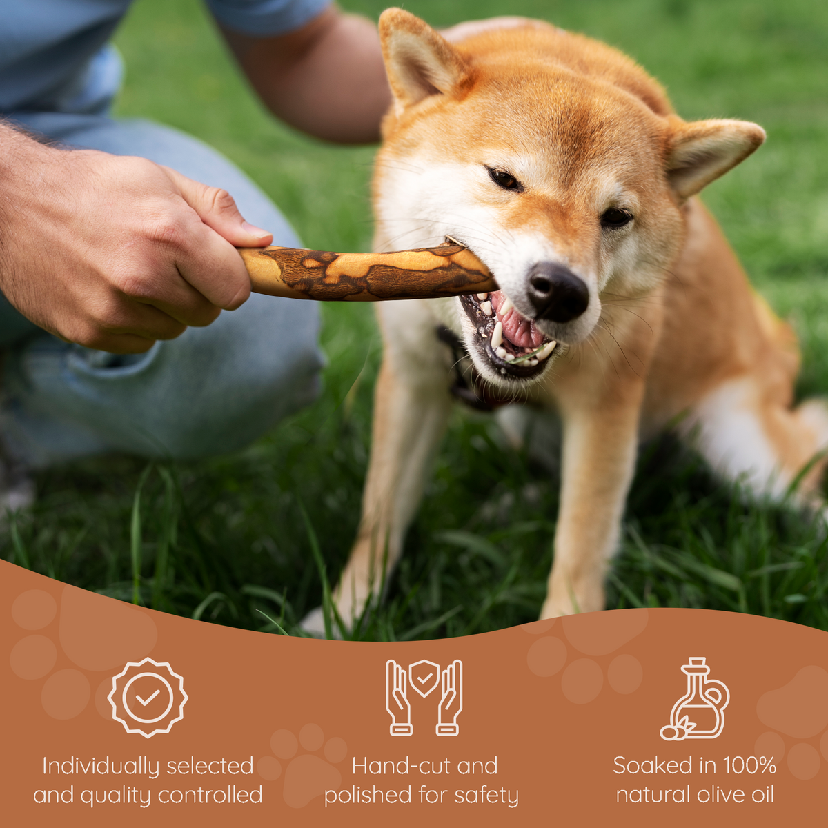 Olive Wood Dog Chew – Natural Chew Stick with Olive Oil