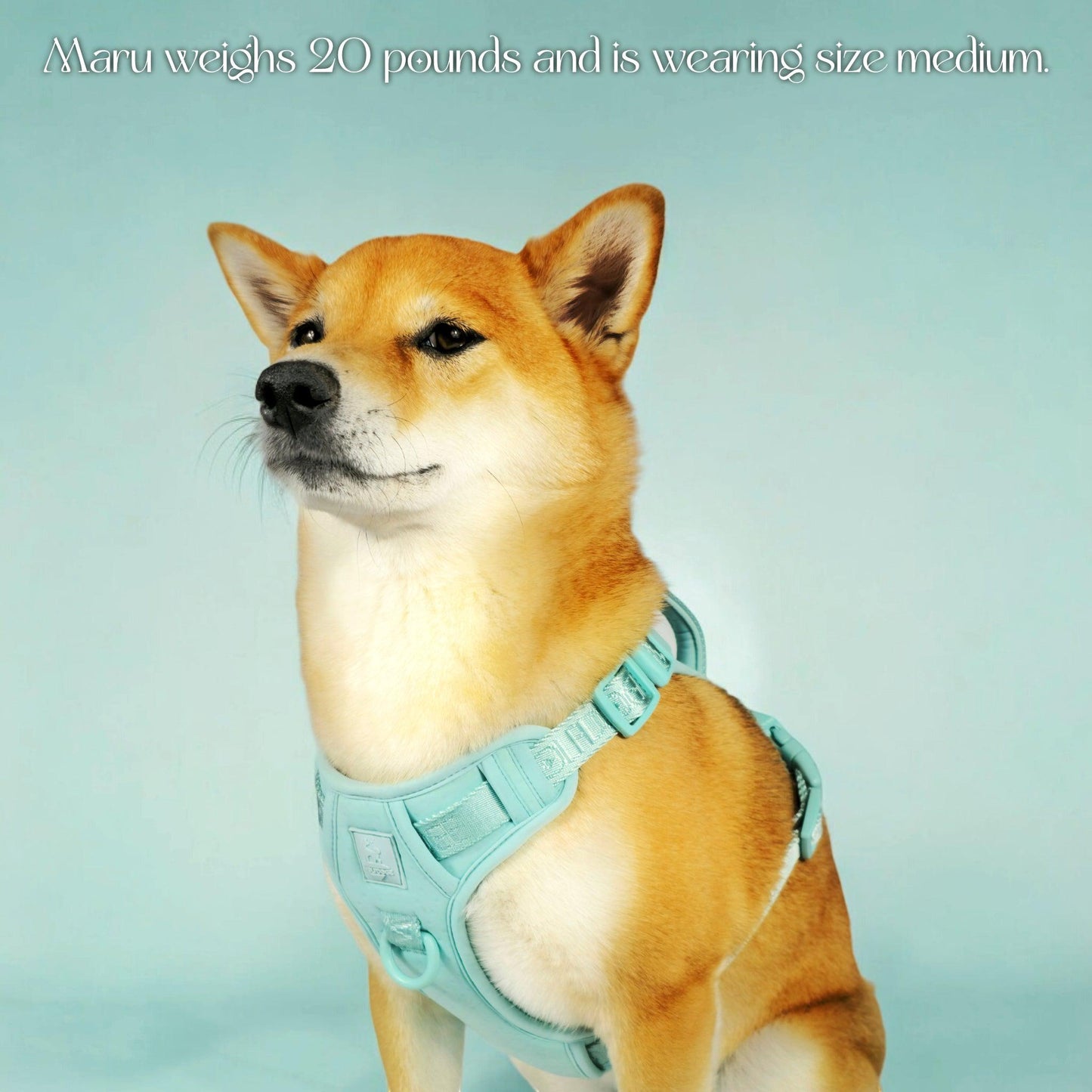 Wolfdoge Signature Harness WOLFDOGE