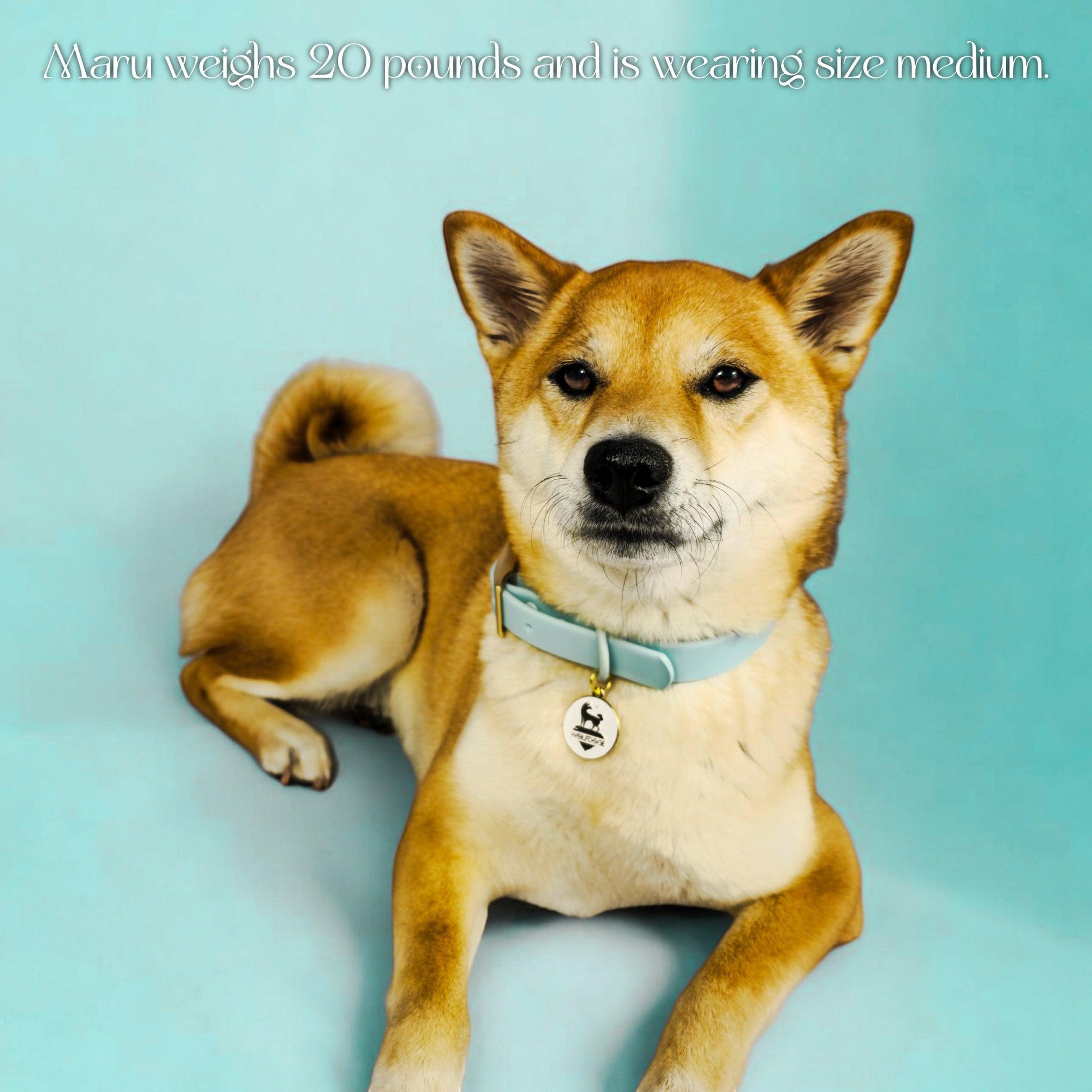 Waterproof Collar WOLFDOGE