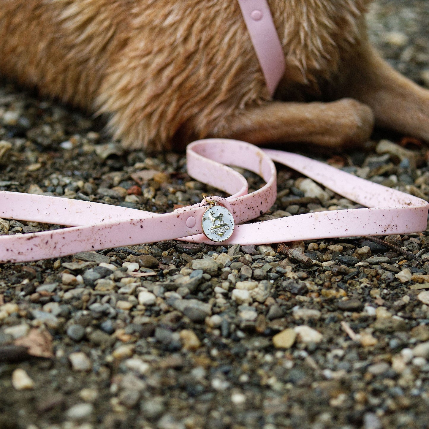 Waterproof Leash WOLFDOGE