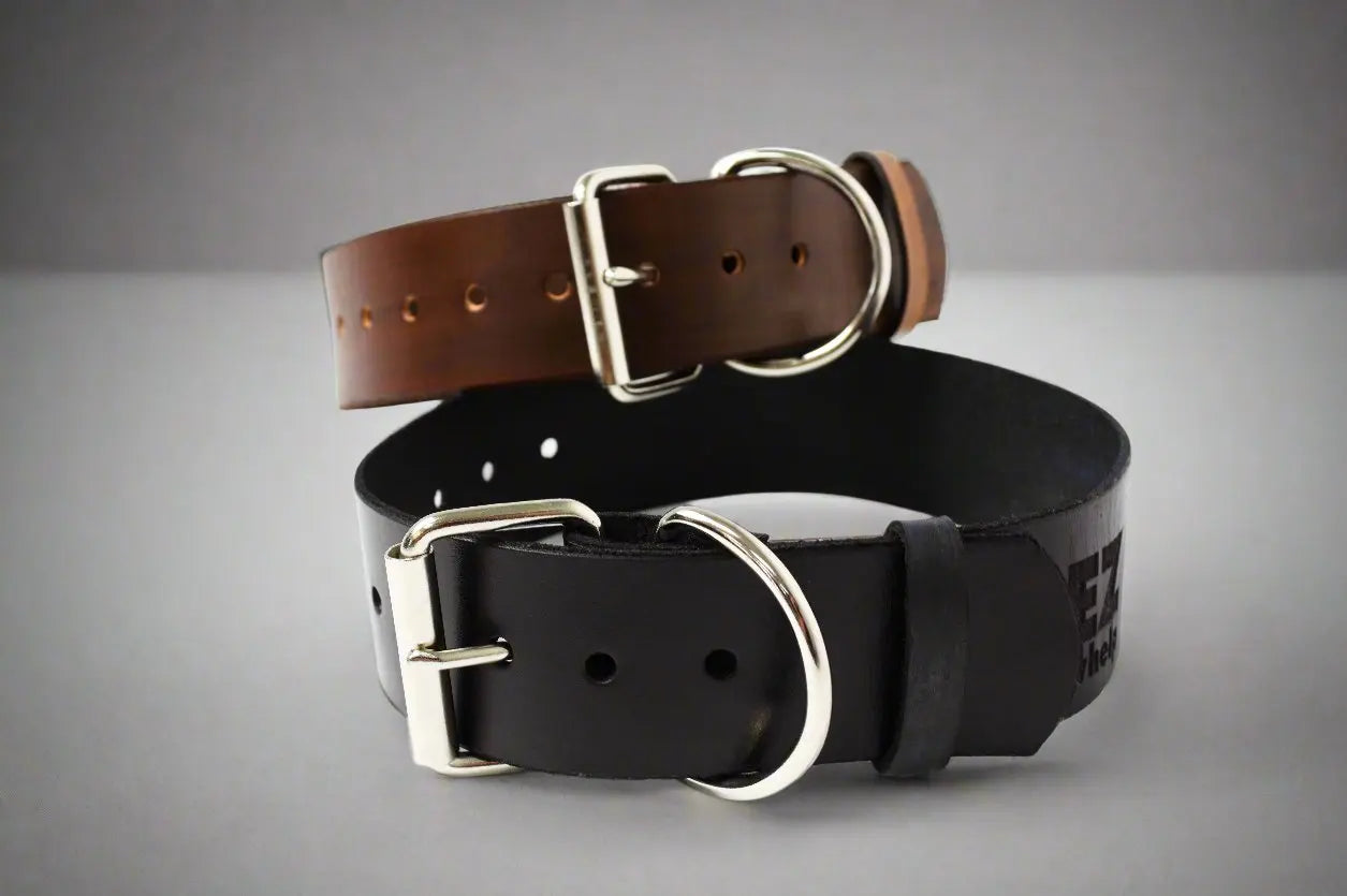Leather Dog Collar EZwhelp