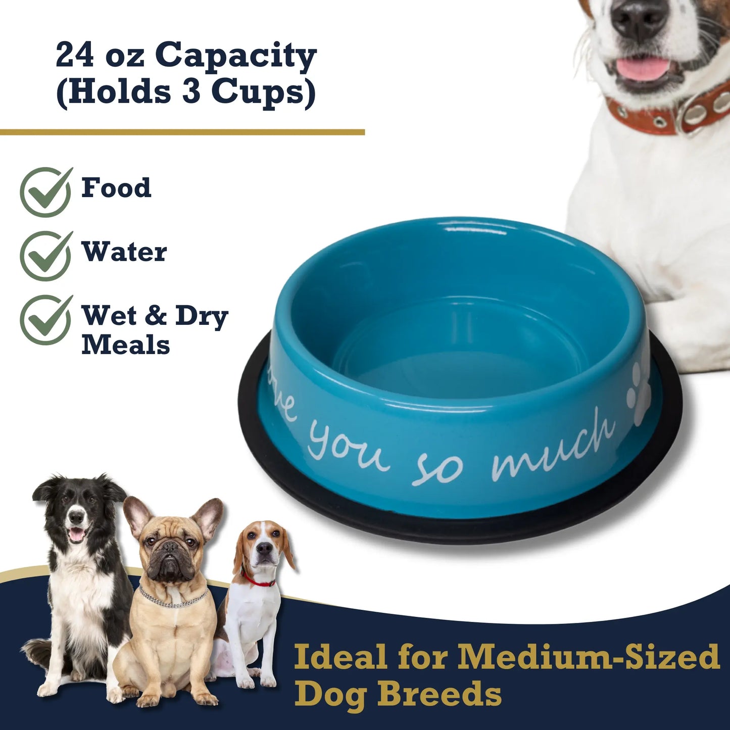 I LOVE YOU SO MUCH Modern Stainless Steel Dog Bowl – 24oz American Pet Supplies