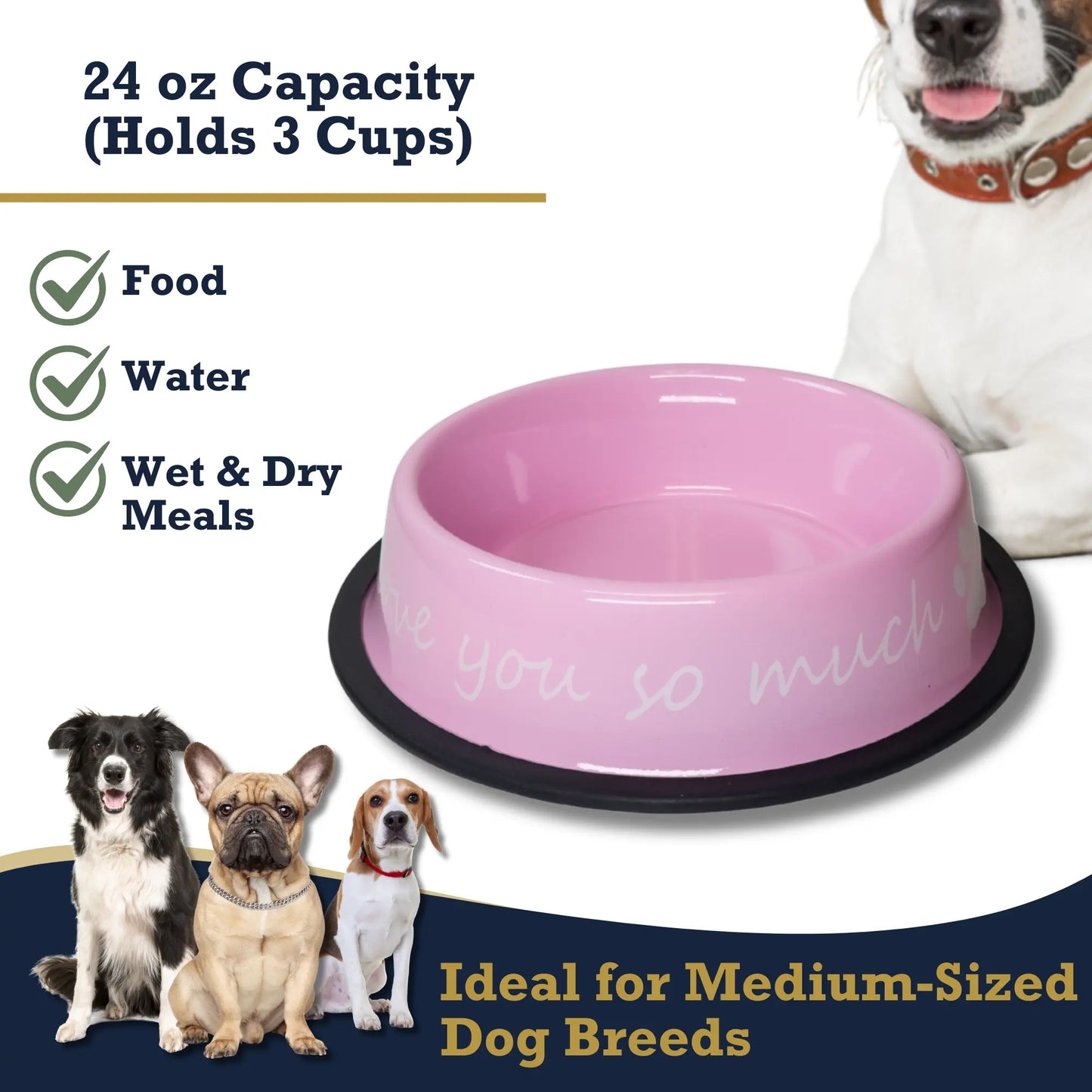 I LOVE YOU SO MUCH Modern Stainless Steel Dog Bowl – 24oz American Pet Supplies