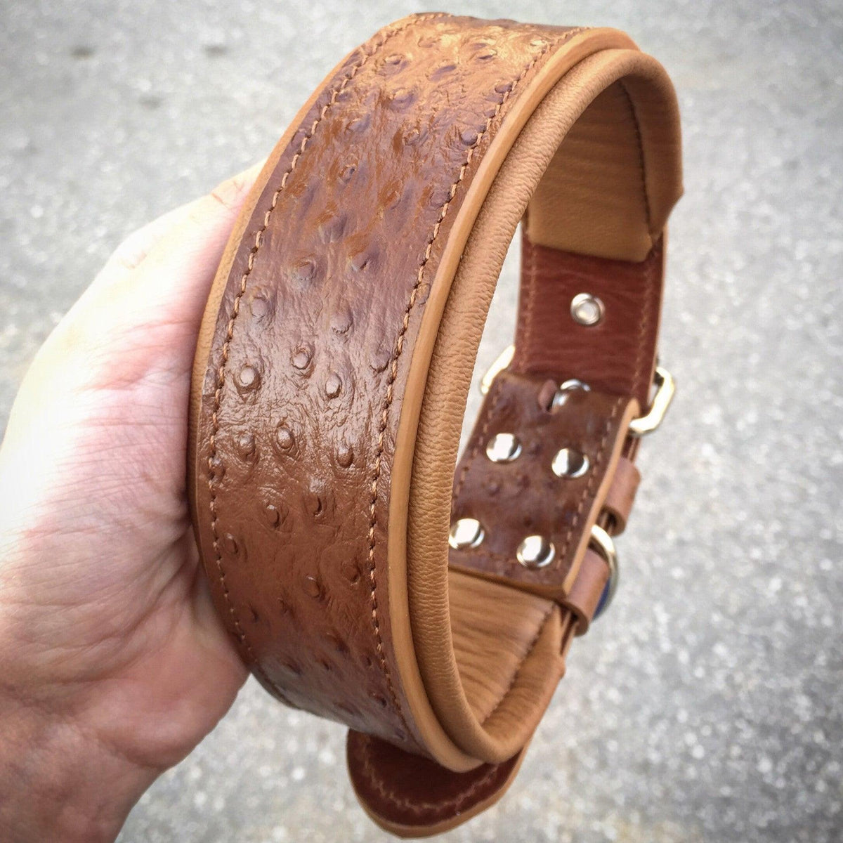 Bestia Ostrich Leather Dog Collar – Limited Edition