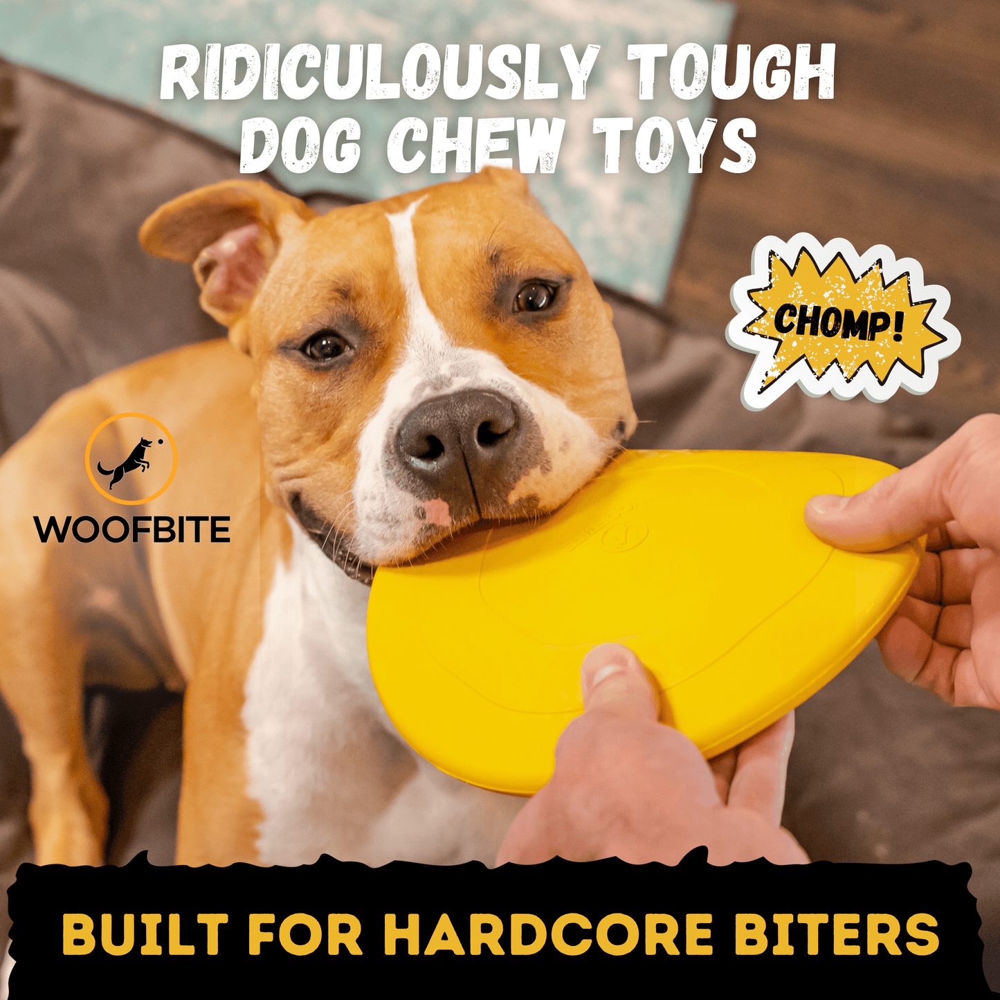 Air Disc Monster K9 Dog Toys