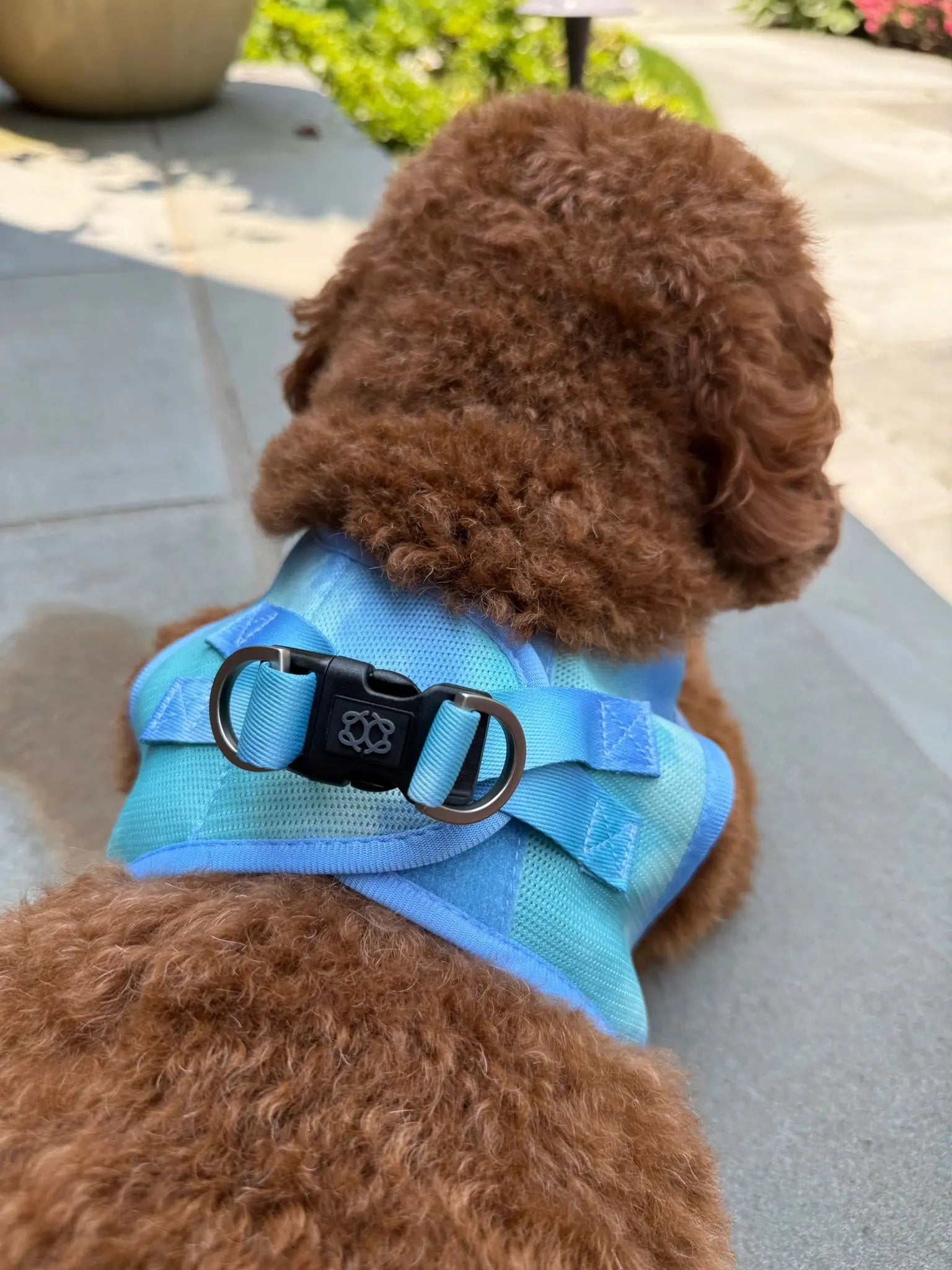 Summer AIR Harness - Ocean - K9 Outdoors