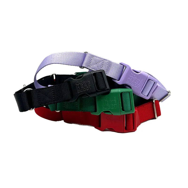 Martingale Dog Collar - K9 Outdoors