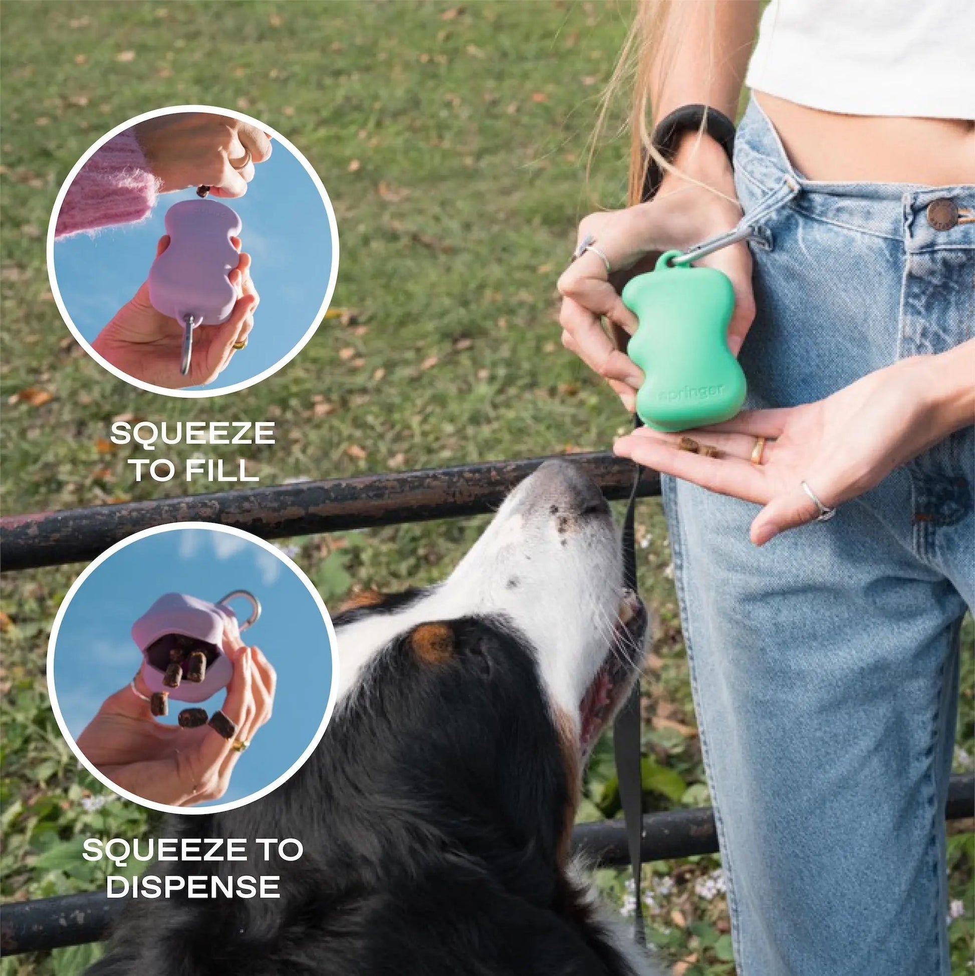 Silicone Dog Treat Dispenser Springland Pets