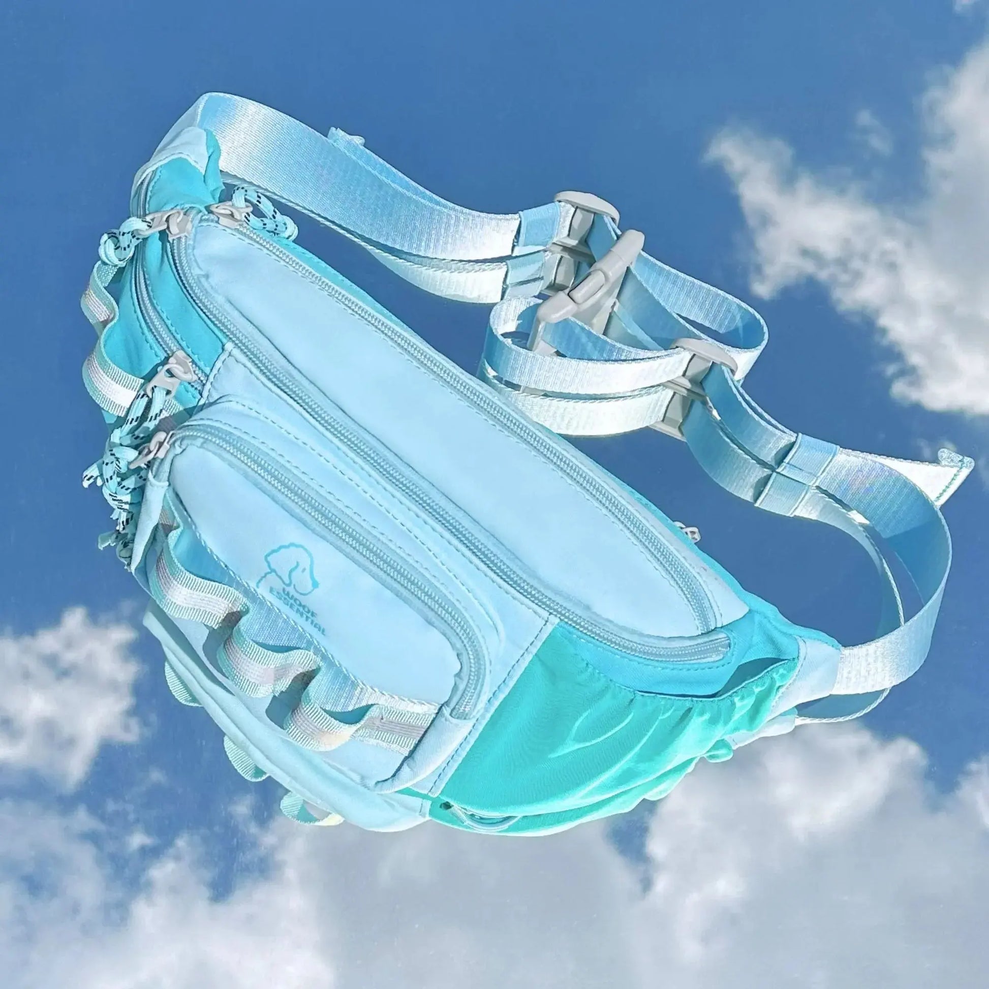 Walk'n Wag Hip Pack WOOFESSENTIAL