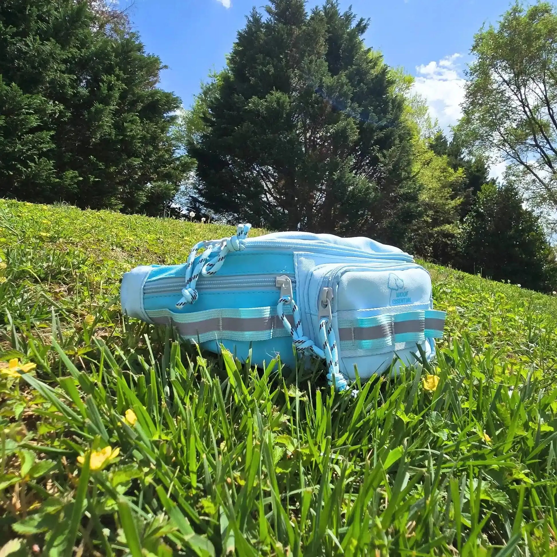 Walk'n Wag Hip Pack WOOFESSENTIAL