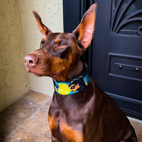 Bestia BCW Leather Dog Collar – Limited Edition