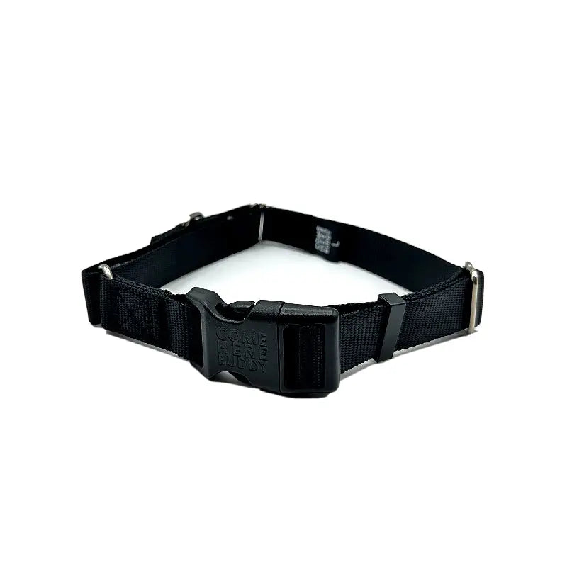 Martingale Dog Collar