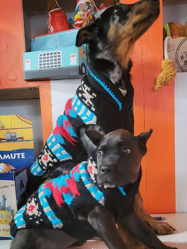 Black Southwest Dog Sweater