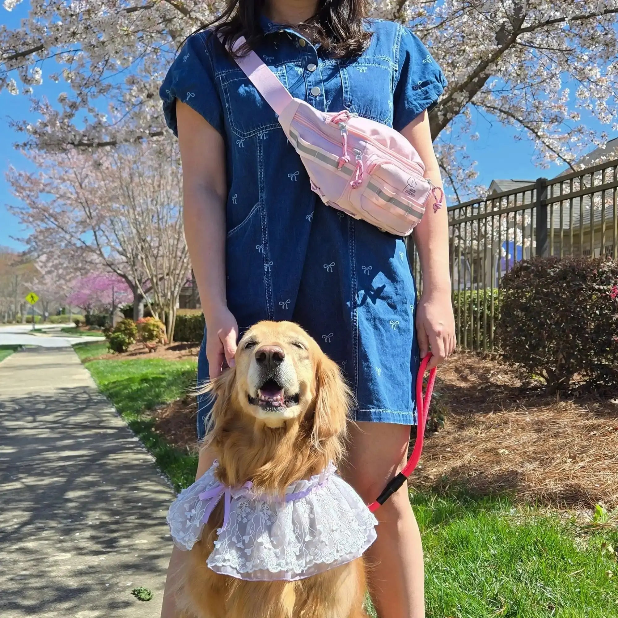 Walk'n Wag Hip Pack WOOFESSENTIAL