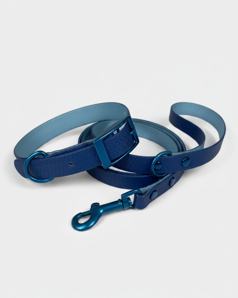 Jelly Waterproof Collar and Leash Set for Small Dogs (4 Colors)