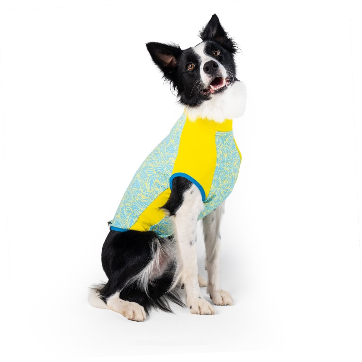 Body Glove Crystal Cool Dog Cooling Shirt worn by a dog outdoors