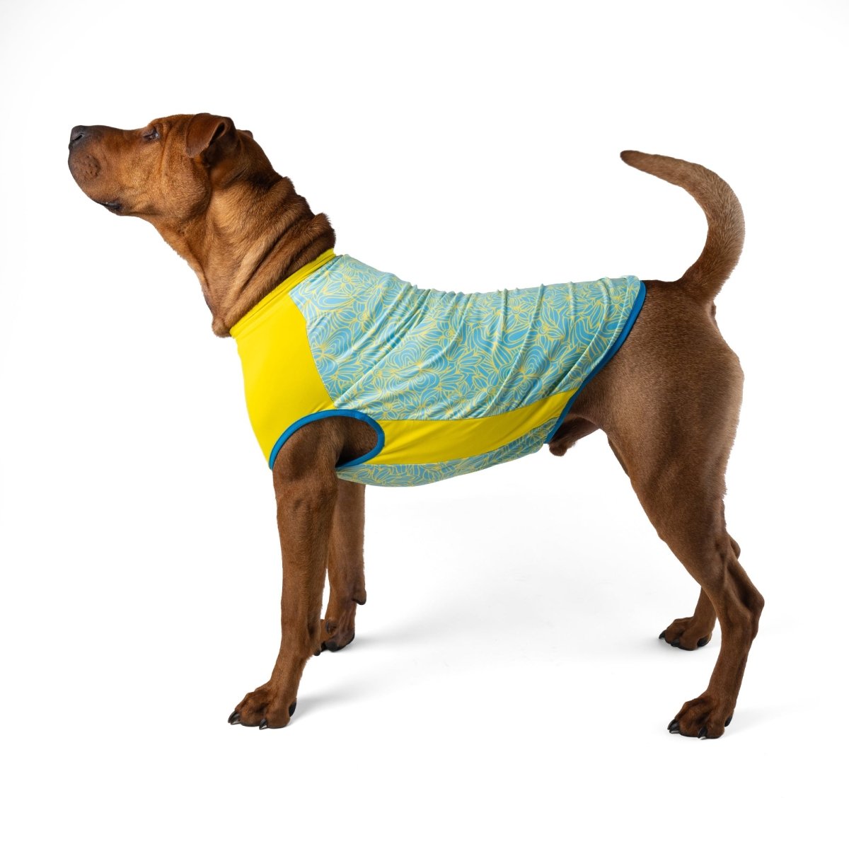 Body Glove Crystal Cool Dog Cooling Shirt Lycra fabric detail