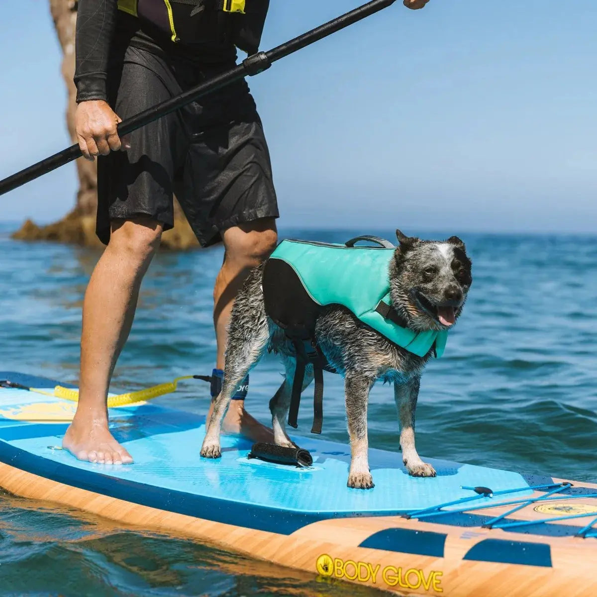 Body Glove Neoprene Pet Life Jacket-K9 Outdoors