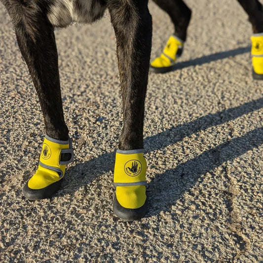 Body Glove Dog Booties-K9 Outdoors