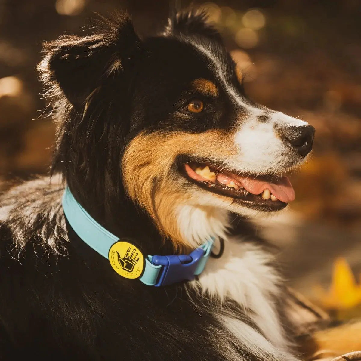 Body Glove Biothane Dog Collar
