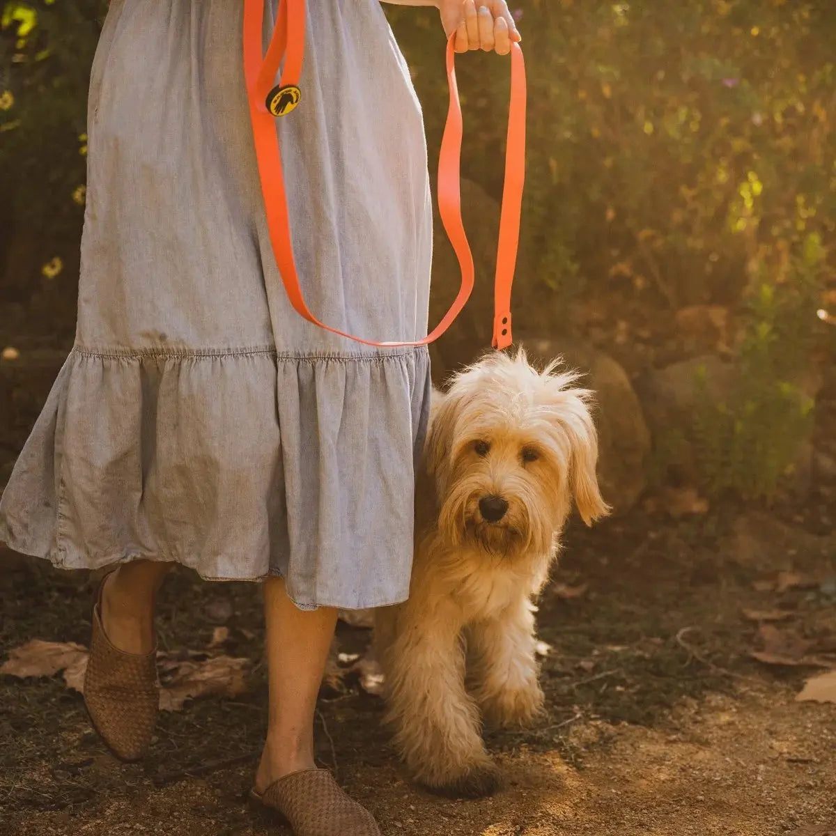 Body Glove Biothane Waterproof Leash-K9 Outdoors