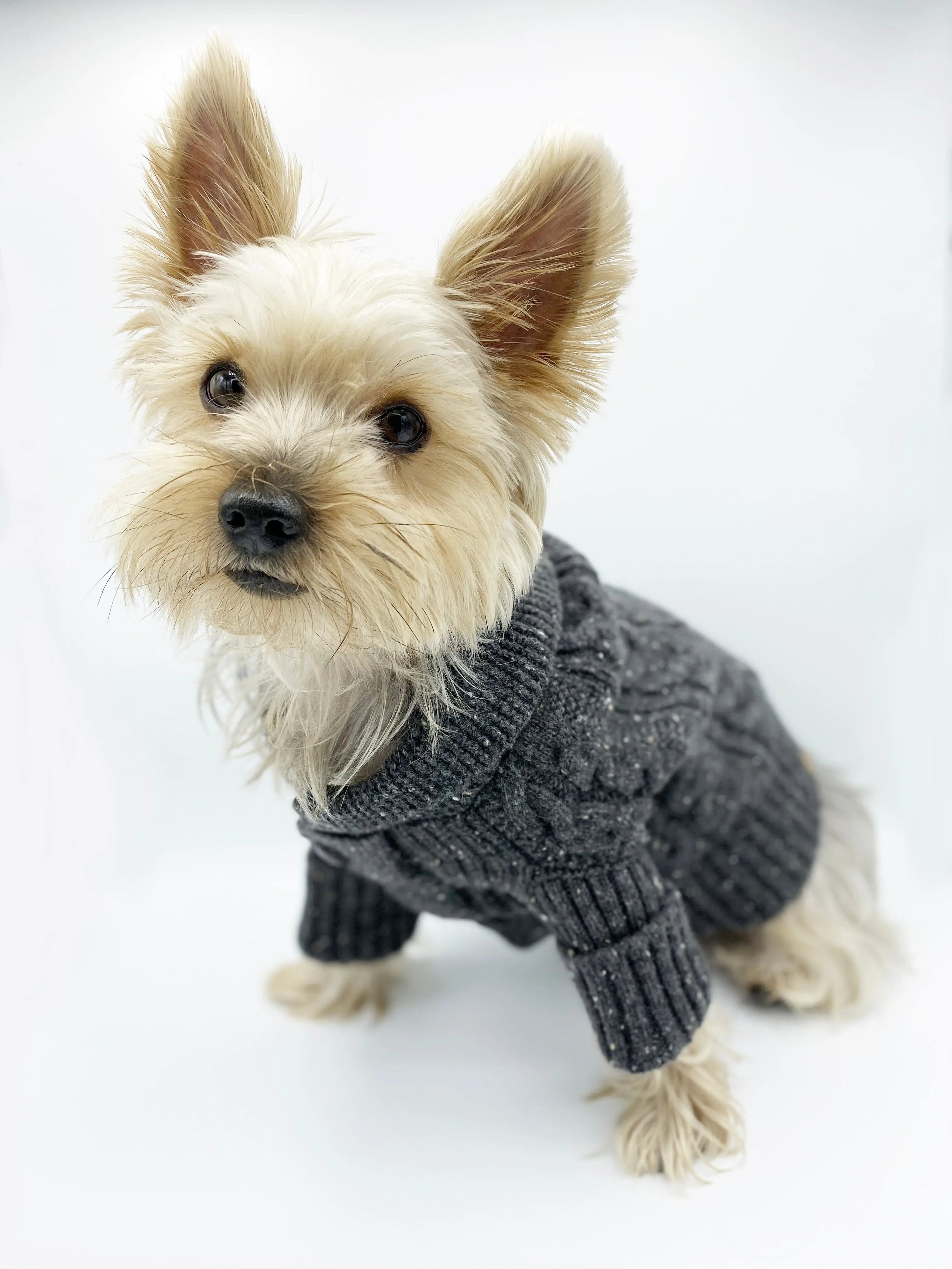 Brooklyn Cashmere Cardigan, Charcoal BESPOKE PAWS