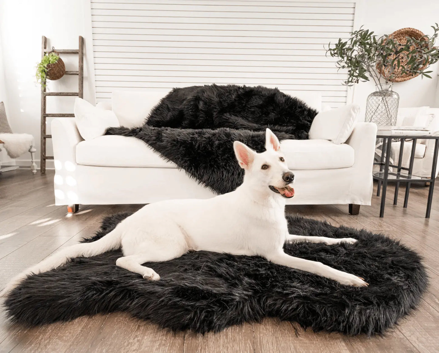PupRug by Paw.com™ Faux Fur Orthopedic Dog Bed - Curve Midnight Black Paw.com