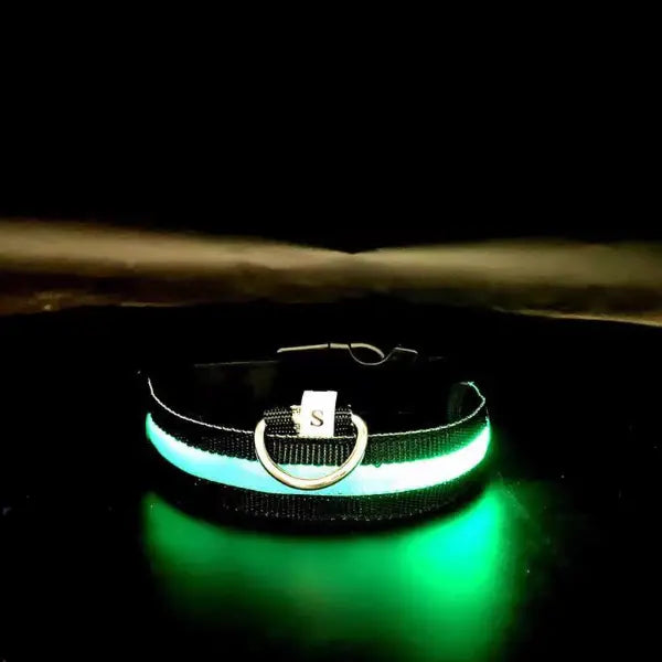 Milou & Lumi LED Glowing Pet Collar - Rainbow - K9 Outdoors