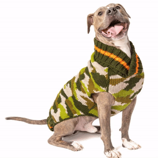 Camo Dog Sweater