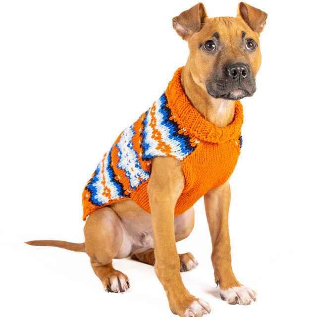 Campfire Dog Sweater