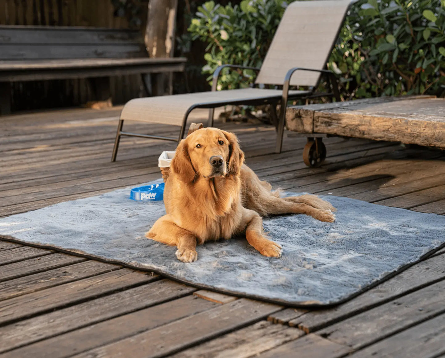 PupProtector™ Summer Short Fur Waterproof Throw Blanket - Charcoal Grey Paw.com