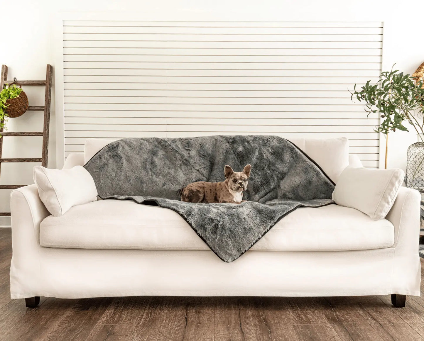 PupProtector™ Summer Short Fur Waterproof Throw Blanket - Charcoal Grey Paw.com