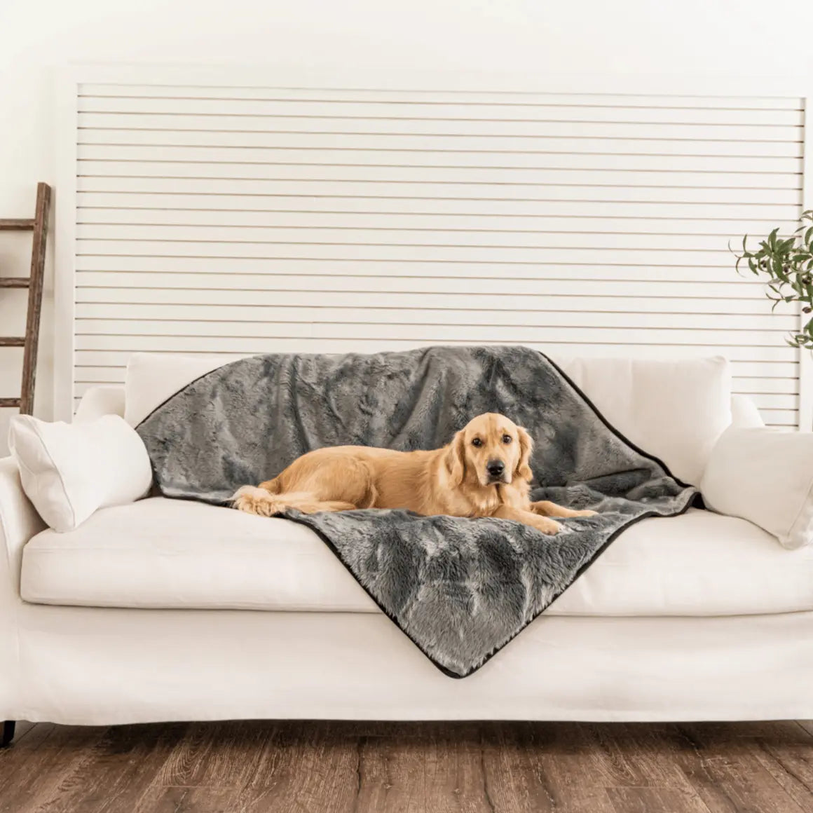 PupProtector™ Summer Short Fur Waterproof Throw Blanket - Charcoal Grey Paw.com