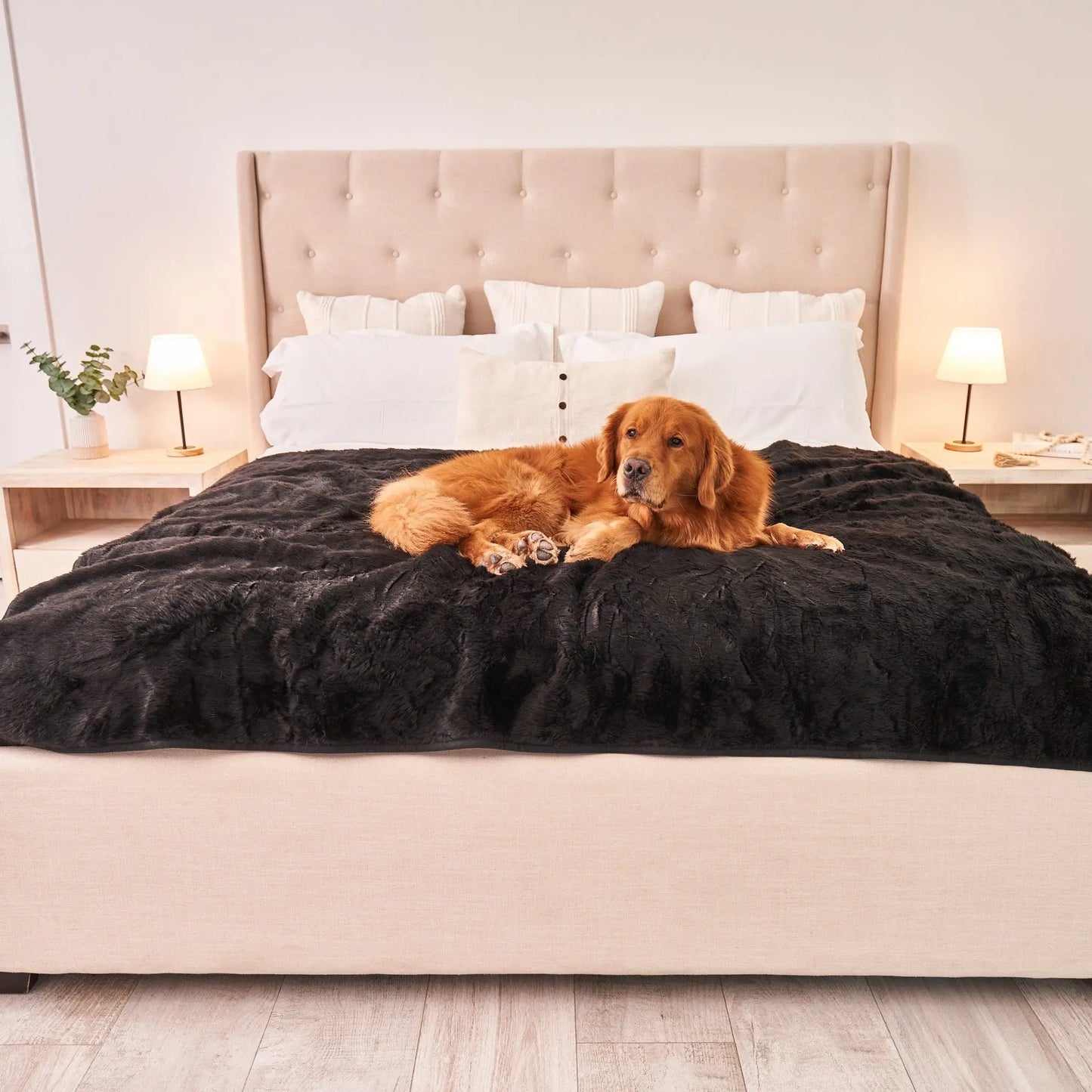 PupProtector™ Summer Short Fur Waterproof Throw Blanket - Midnight Black Paw.com