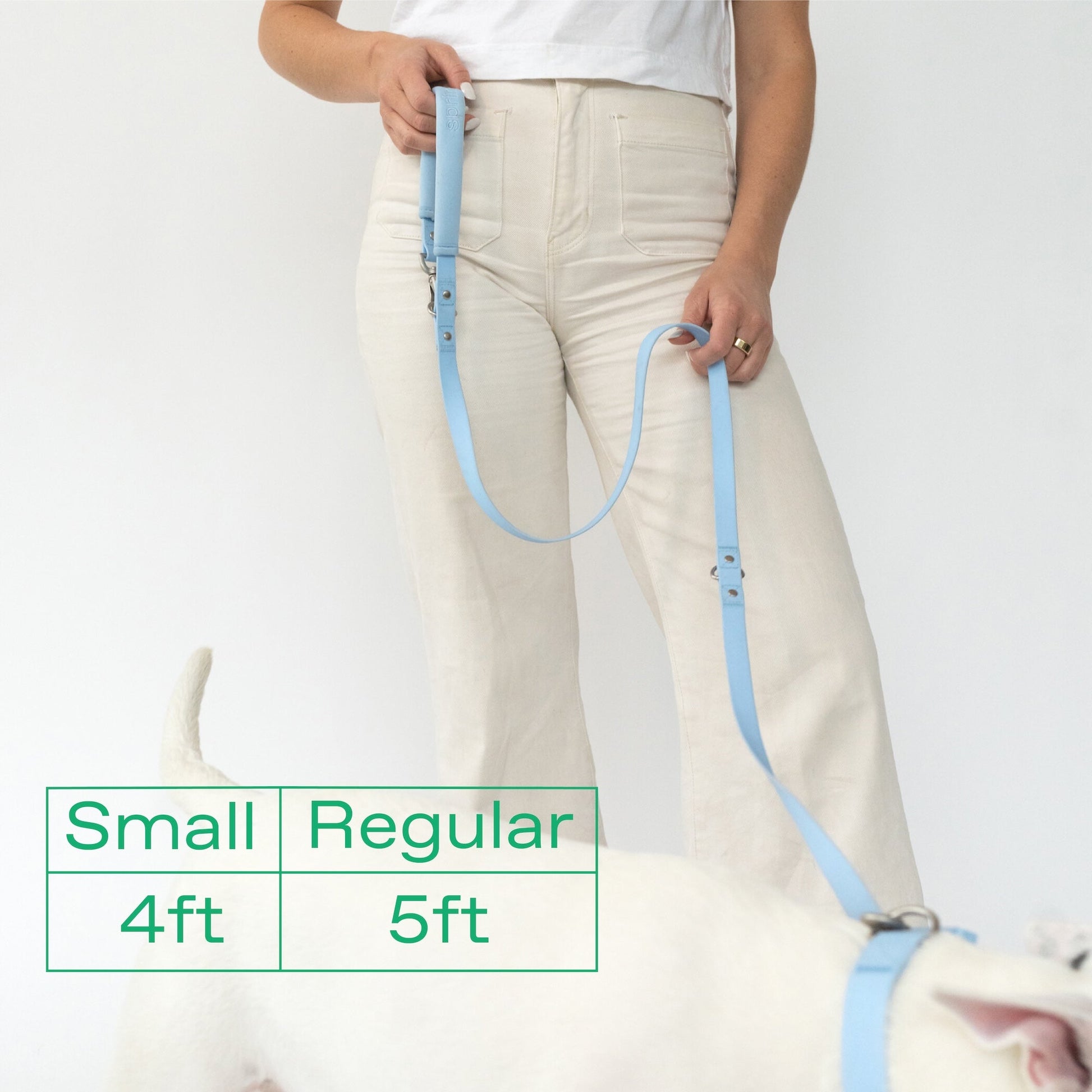 Original Dog Leash with Neoprene Handle Springland Pets