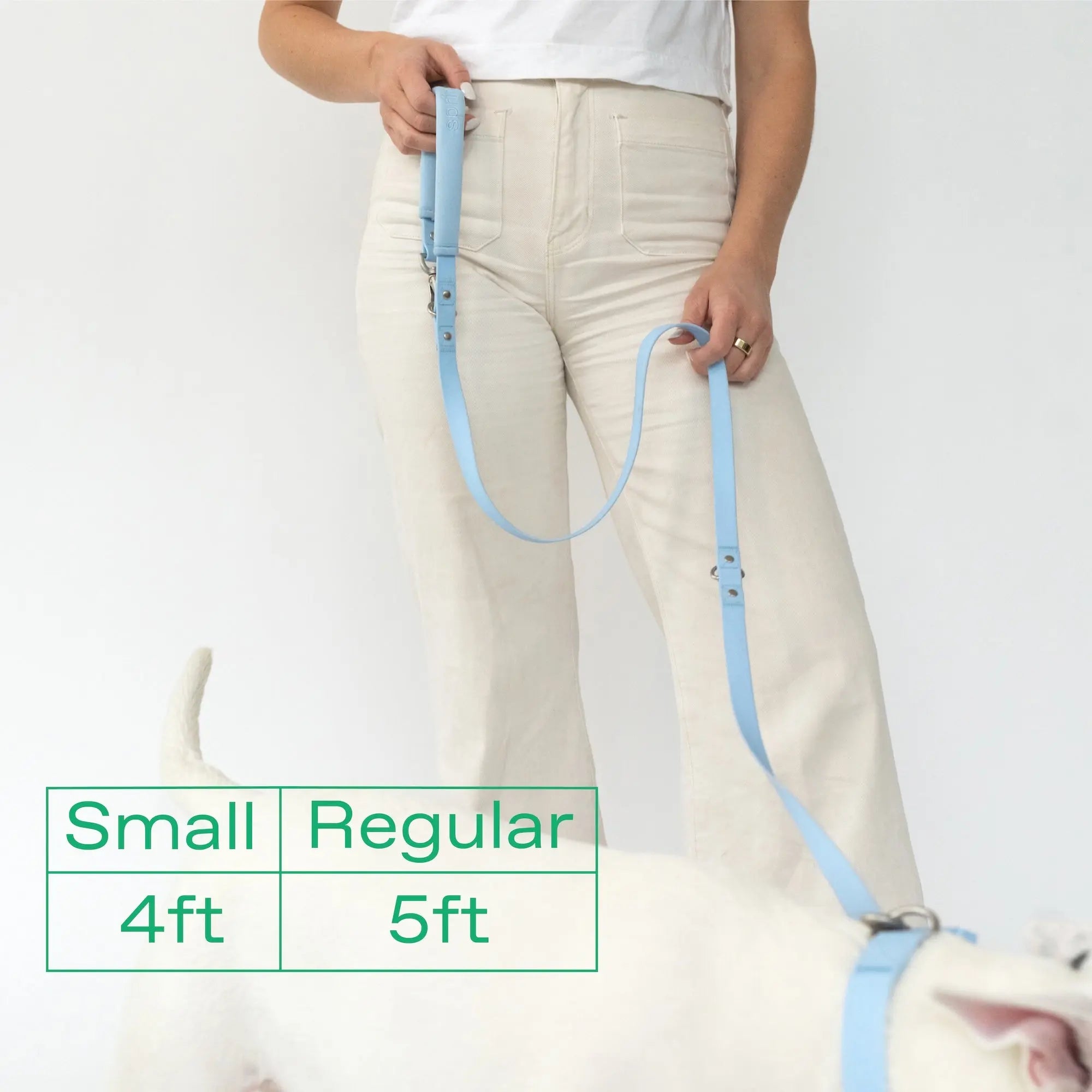Original Dog Leash with Neoprene Handle Springland Pets