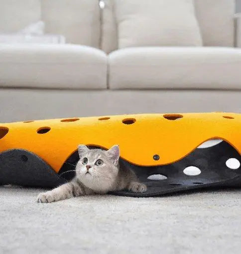 Cheese Cat Adventure Tunnel Dog Hugs Cat