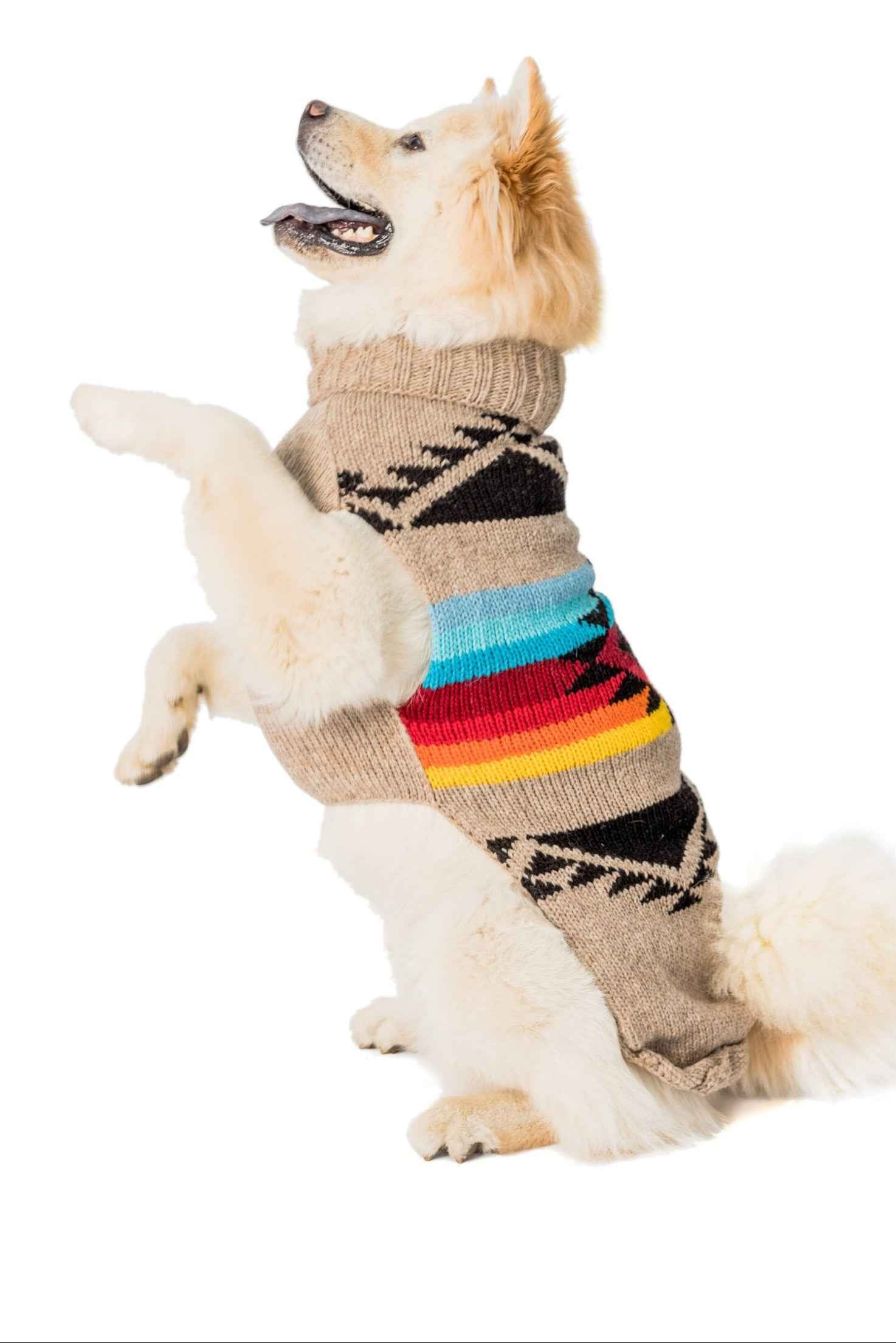 Painted Desert Dog Sweater