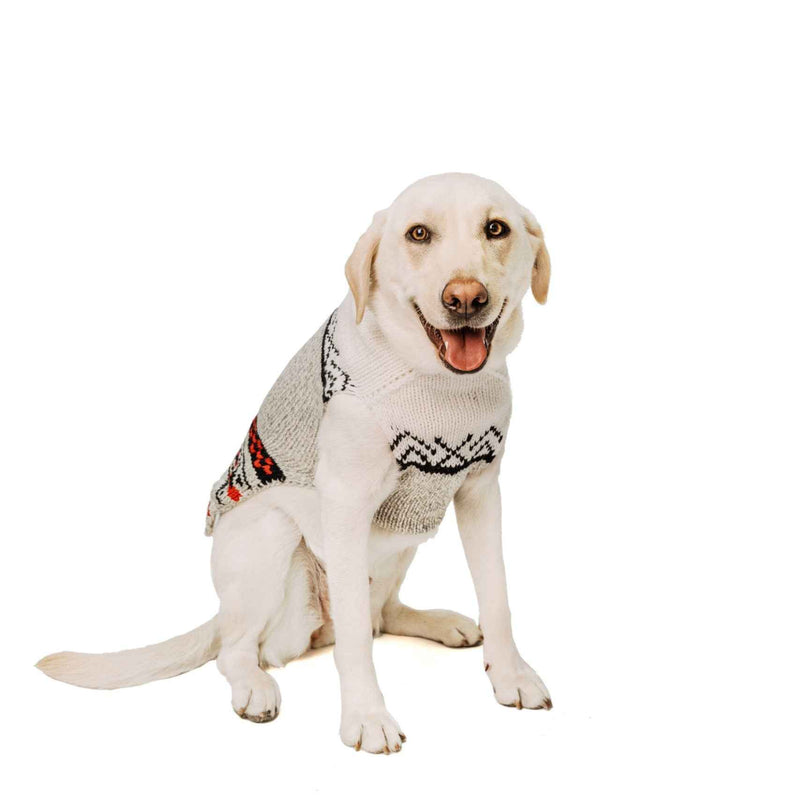 Bunny Patrol Dog Sweater