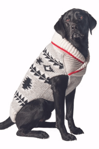 Jackson Dog Sweater