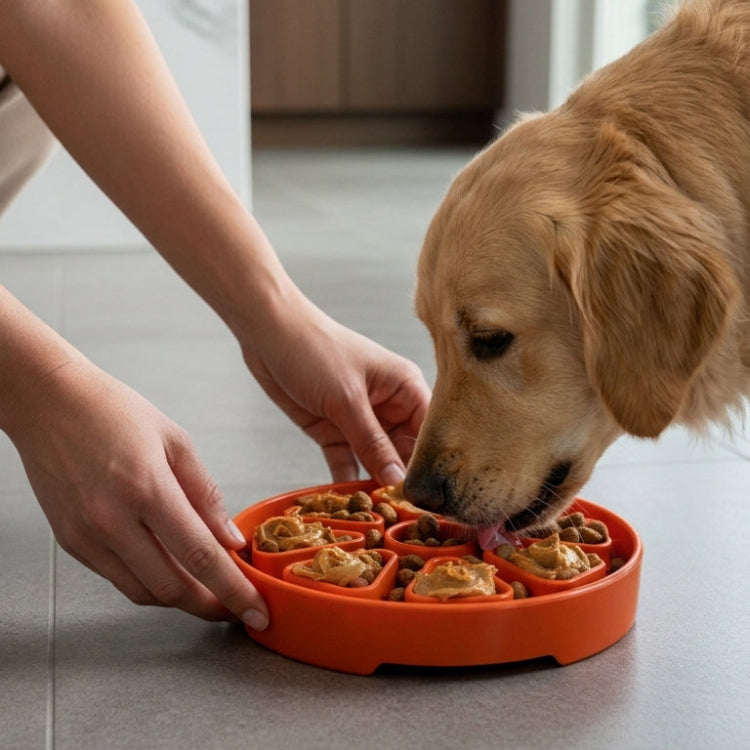Citrus Softie eTray Shallow Slow Feeder Dog Bowl | USA Made